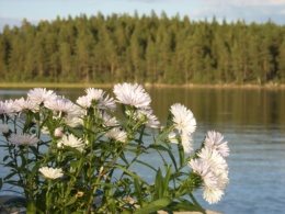 Mindfulness består af simple leveregler og jævnlig meditation. Med tiden falder dit sind til ro og det vil blive mere klart, hvad der er væsentligt i dit liv. Meld dig til gruppeterapi v/ ID Psykoterapeut MFP Jette Havgry i Fredensborg og oplev hvordan det er at leve mindfuldt.     
Jeg kan varmt anbefale det.     